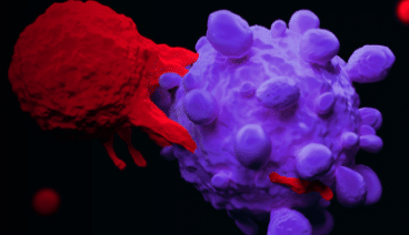 Cart T cell